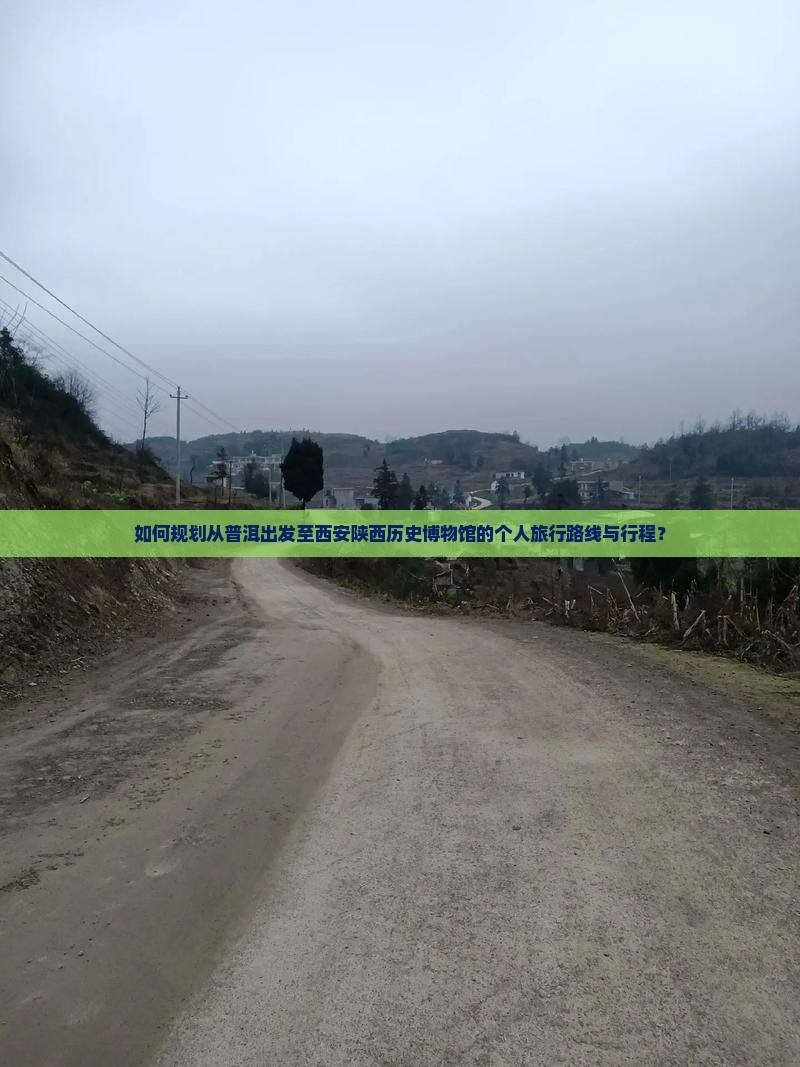 如何规划从普洱出发至西安陕西历史博物馆的个人旅行路线与行程？