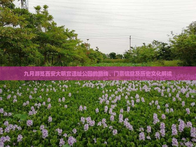 九月游览西安大明宫遗址公园的路线、门票信息及历史文化解读