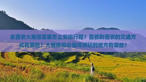 去西安大雁塔需要怎么安排行程？昌都到西安的交通方式有哪些？大雁塔周边值得游玩的地方有哪些？
