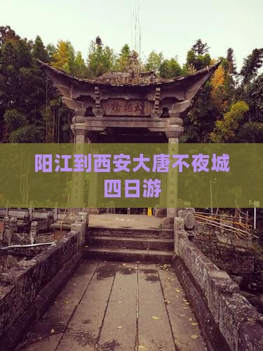 阳江到西安大唐不夜城四日游