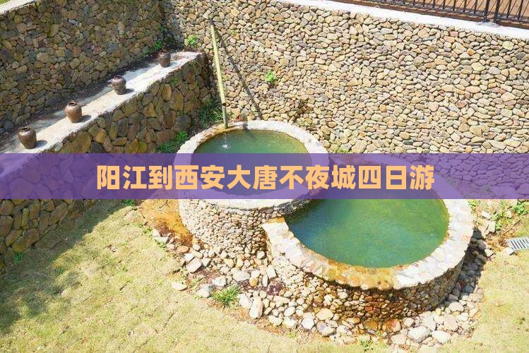 阳江到西安大唐不夜城四日游