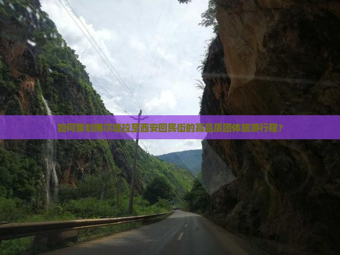 如何策划博尔塔拉至西安回民街的高品质团体旅游行程？