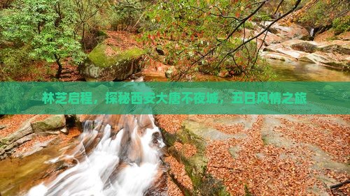 林芝启程，探秘西安大唐不夜城，五日风情之旅
