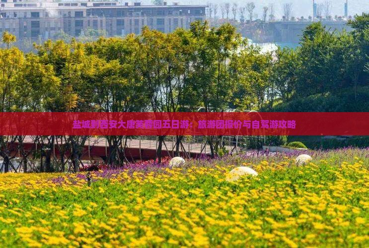 盐城到西安大唐芙蓉园五日游：旅游团报价与自驾游攻略
