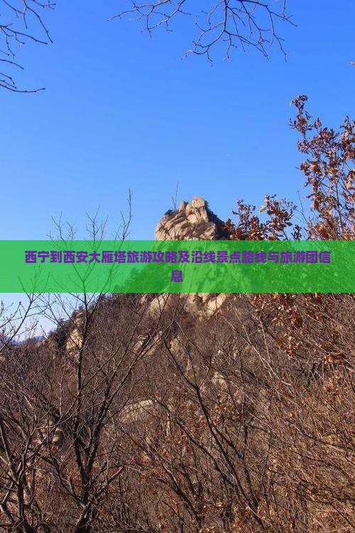 西宁到西安大雁塔旅游攻略及沿线景点路线与旅游团信息