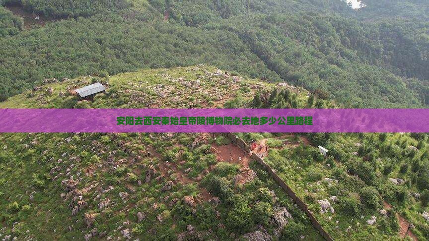 安阳去西安秦始皇帝陵博物院必去地多少公里路程
