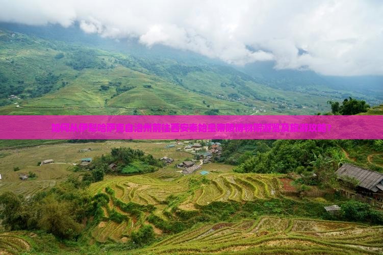 如何从伊犁哈萨克自治州前往西安秦始皇帝陵博物院游览及旅游攻略？
