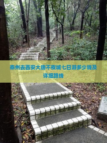 泰州去西安大唐不夜城七日游多少钱及详细路线
