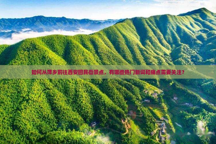 如何从萍乡前往西安回民街景点，有哪些热门新词和痛点需要关注？