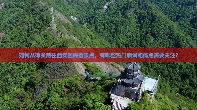 如何从萍乡前往西安回民街景点，有哪些热门新词和痛点需要关注？