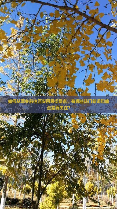 如何从萍乡前往西安回民街景点，有哪些热门新词和痛点需要关注？