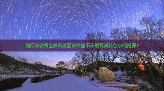 如何从钦州出发游览西安大唐不夜城及其特色小吃推荐？