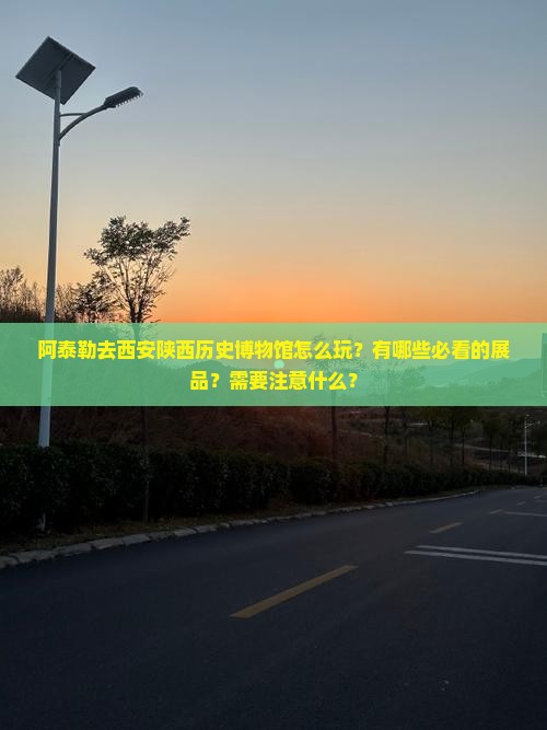 阿泰勒去西安陕西历史博物馆怎么玩？有哪些必看的展品？需要注意什么？