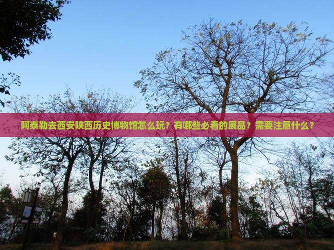 阿泰勒去西安陕西历史博物馆怎么玩？有哪些必看的展品？需要注意什么？