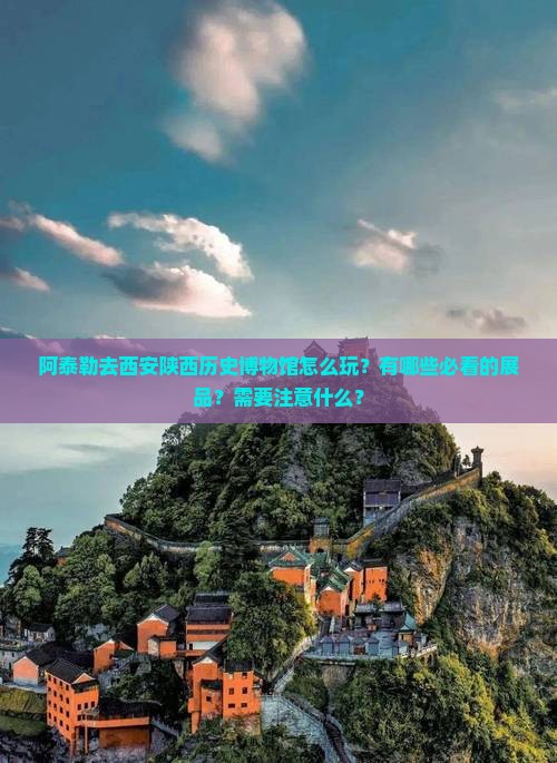 阿泰勒去西安陕西历史博物馆怎么玩？有哪些必看的展品？需要注意什么？
