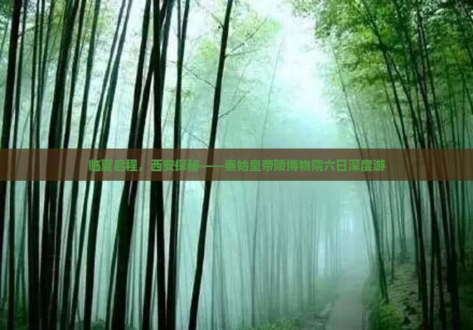临夏启程，西安探秘——秦始皇帝陵博物院六日深度游