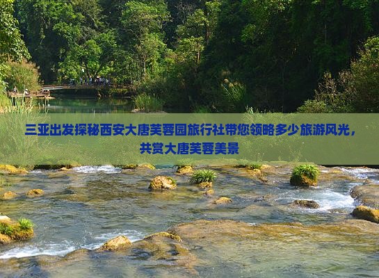 三亚出发探秘西安大唐芙蓉园旅行社带您领略多少旅游风光，共赏大唐芙蓉美景