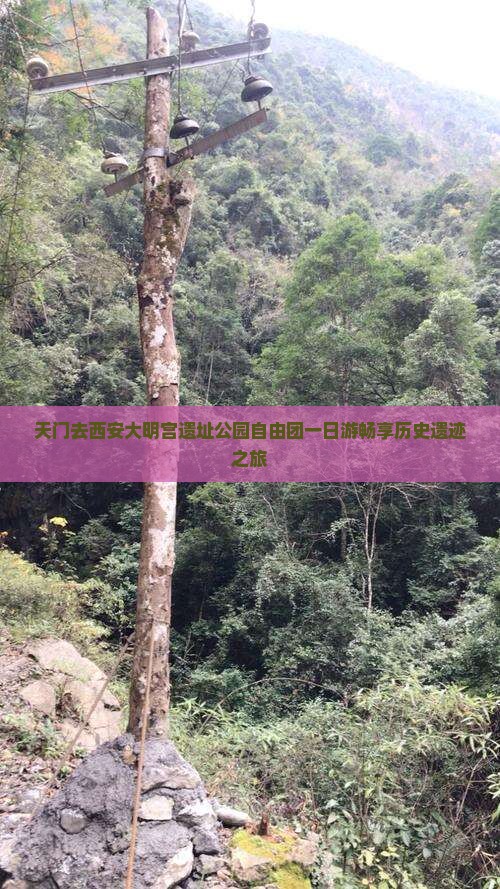 天门去西安大明宫遗址公园自由团一日游畅享历史遗迹之旅