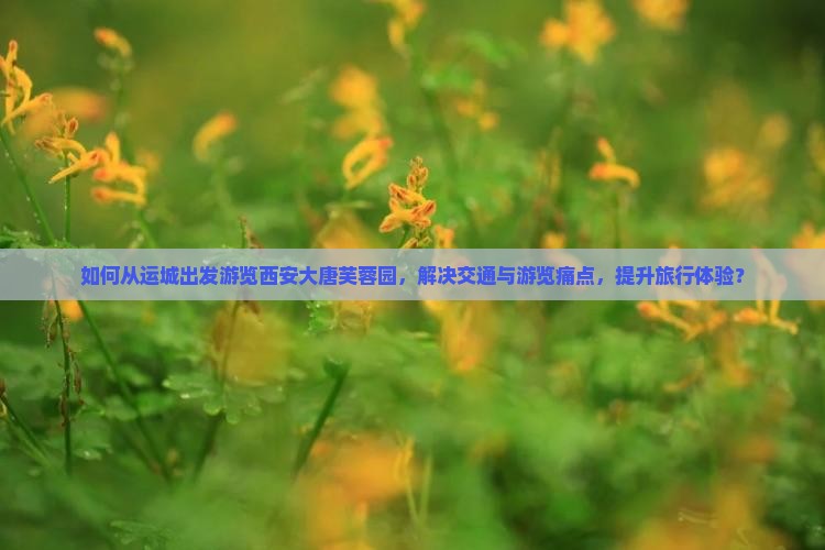 如何从运城出发游览西安大唐芙蓉园，解决交通与游览痛点，提升旅行体验？