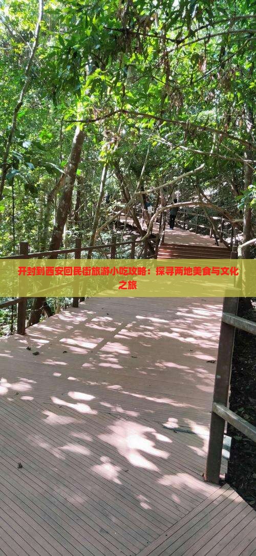 开封到西安回民街旅游小吃攻略：探寻两地美食与文化之旅