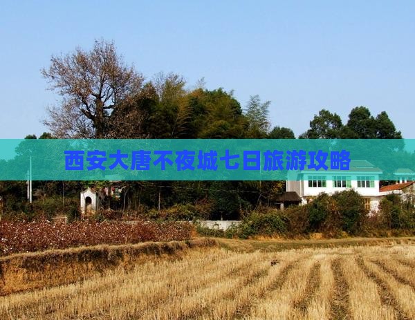 西安大唐不夜城七日旅游攻略