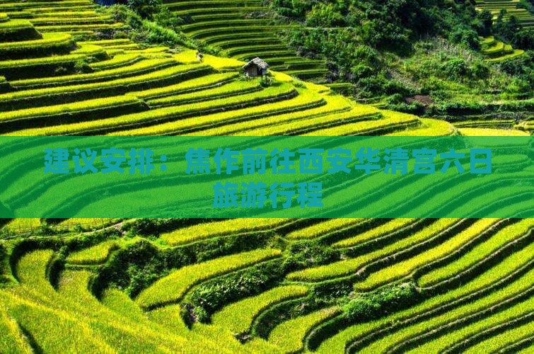 建议安排：焦作前往西安华清宫六日旅游行程