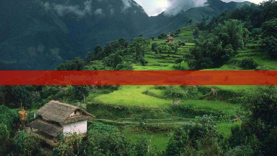 如何规划从云浮出发前往西安华清宫的个人旅行路线与行程？