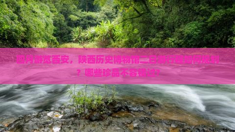 四月游览西安，陕西历史博物馆二日游行程如何规划？哪些珍品不容错过？