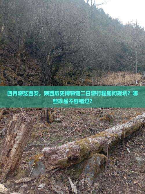 四月游览西安，陕西历史博物馆二日游行程如何规划？哪些珍品不容错过？