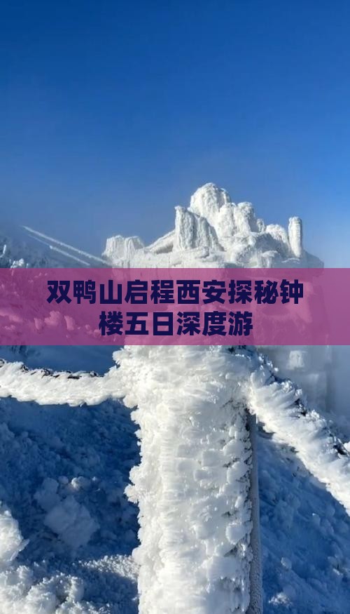 双鸭山启程西安探秘钟楼五日深度游