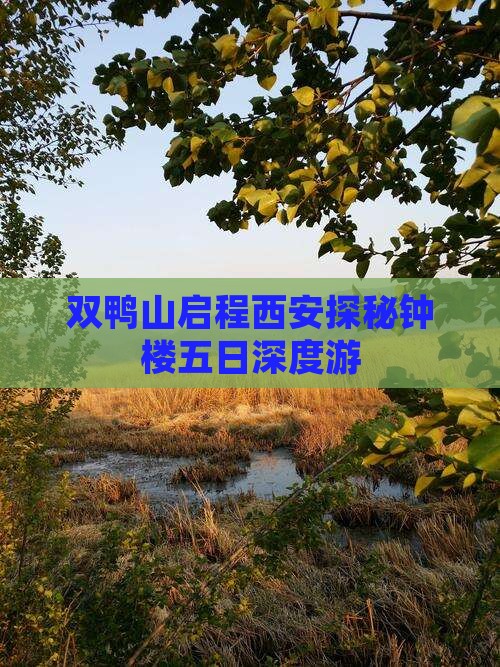 双鸭山启程西安探秘钟楼五日深度游