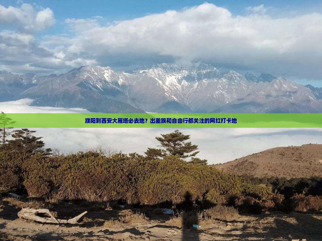 濮阳到西安大雁塔必去地？出差族和自由行都关注的网红打卡地