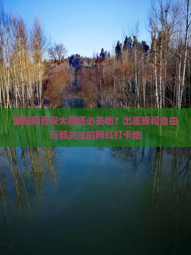 濮阳到西安大雁塔必去地？出差族和自由行都关注的网红打卡地