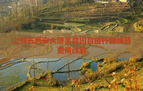 上饶去西安大唐芙蓉园自由行路线及费用详解