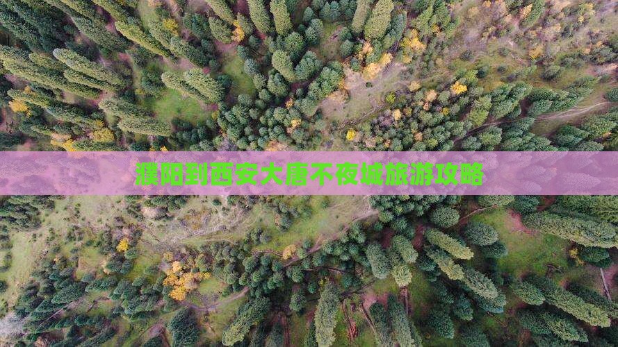 濮阳到西安大唐不夜城旅游攻略