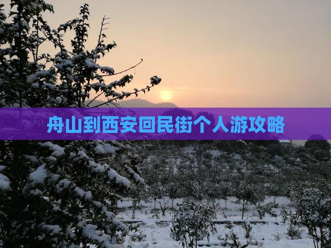 舟山到西安回民街个人游攻略