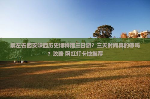 崇左去西安陕西历史博物馆三日游？三天时间真的够吗？攻略+网红打卡地推荐