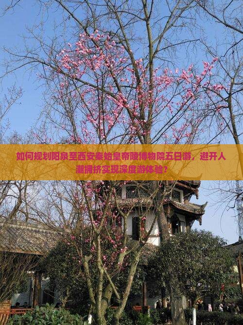 如何规划阳泉至西安秦始皇帝陵博物院五日游，避开人潮拥挤实现深度游体验？