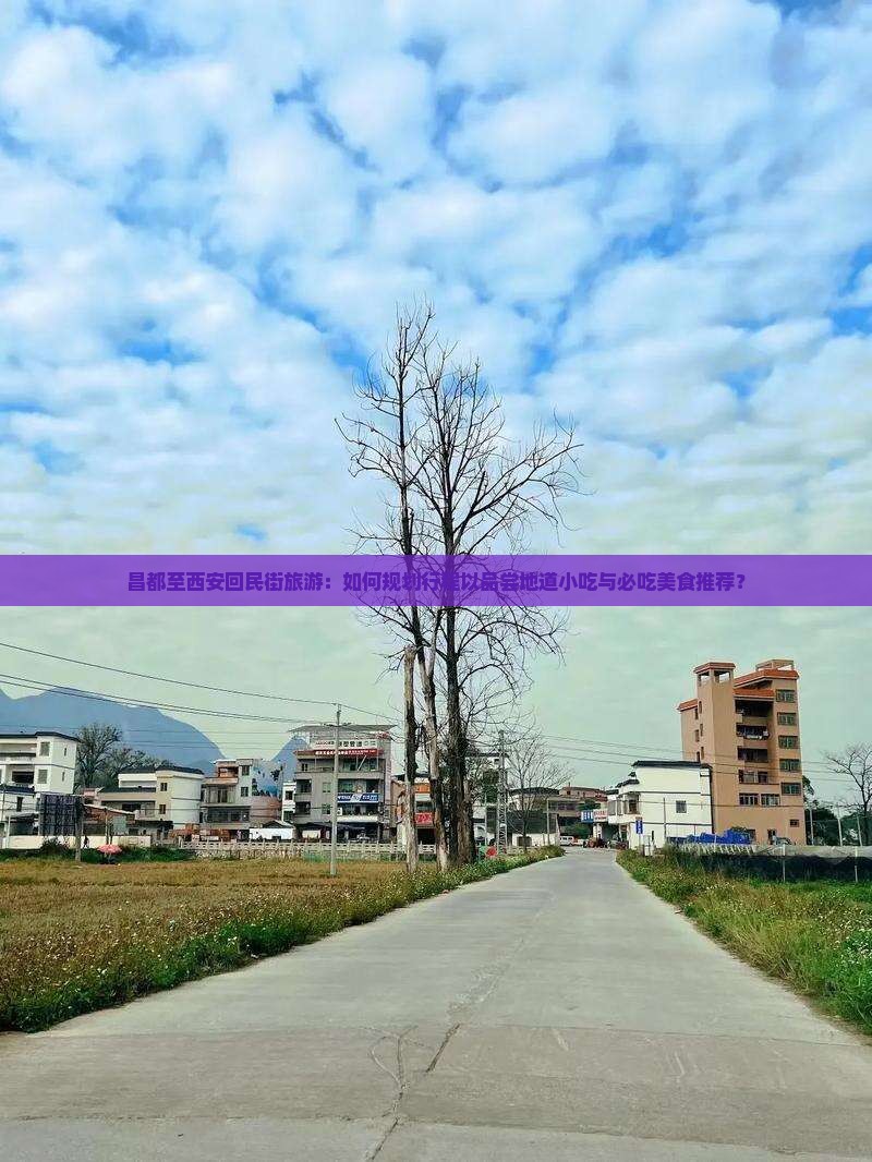 昌都至西安回民街旅游：如何规划行程以品尝地道小吃与必吃美食推荐？