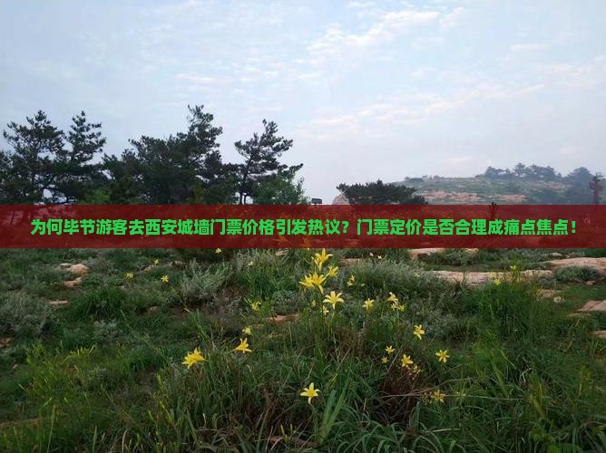 为何毕节游客去西安城墙门票价格引发热议？门票定价是否合理成痛点焦点！