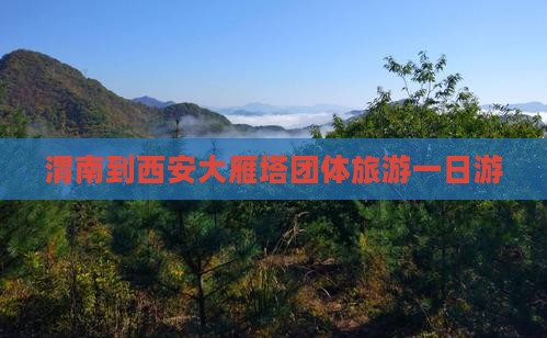 渭南到西安大雁塔团体旅游一日游