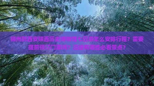 锦州到西安陕西历史博物馆七日游怎么安排行程？需要提前预订门票吗？沿途有哪些必看景点？
