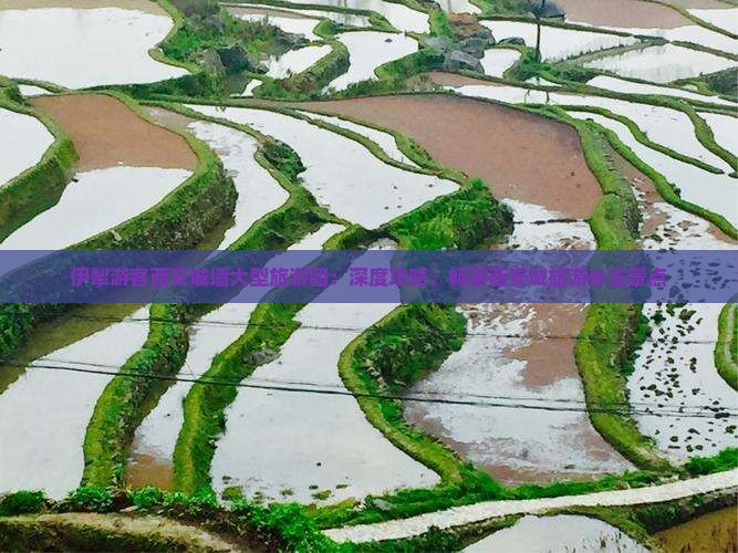 伊犁游客西安城墙大型旅游团：深度攻略，畅游西安城旅游必去景点