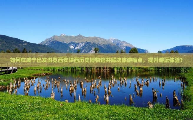 如何在咸宁出发游览西安陕西历史博物馆并解决旅游痛点，提升游玩体验？
