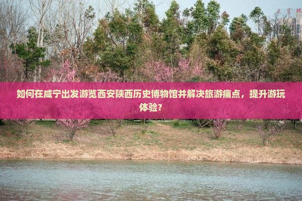 如何在咸宁出发游览西安陕西历史博物馆并解决旅游痛点，提升游玩体验？