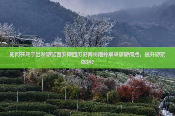 如何在咸宁出发游览西安陕西历史博物馆并解决旅游痛点，提升游玩体验？
