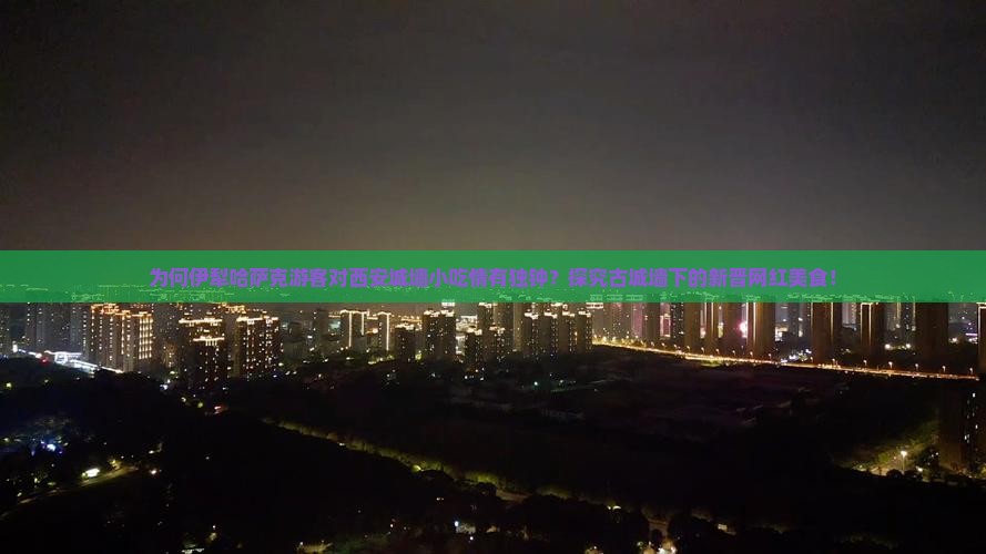 为何伊犁哈萨克游客对西安城墙小吃情有独钟？探究古城墙下的新晋网红美食！
