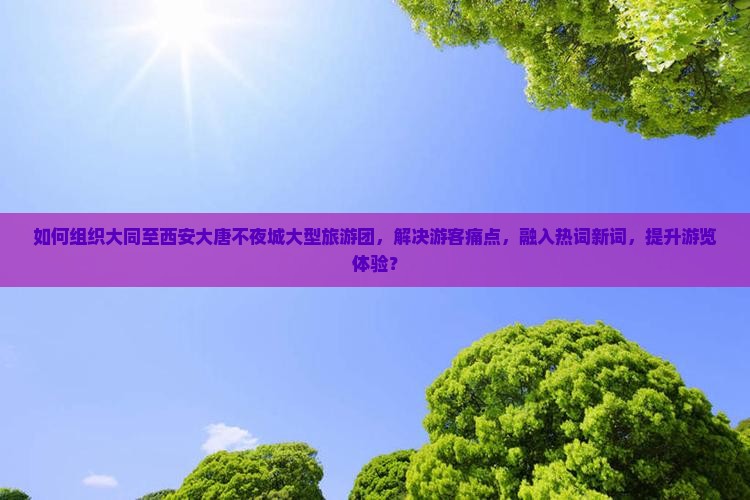 如何组织大同至西安大唐不夜城大型旅游团，解决游客痛点，融入热词新词，提升游览体验？