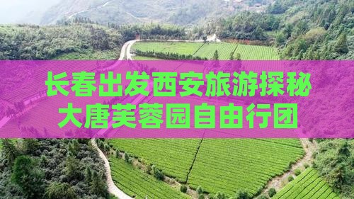 长春出发西安旅游探秘大唐芙蓉园自由行团