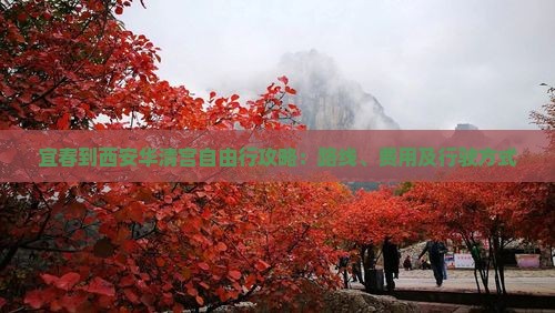 宜春到西安华清宫自由行攻略：路线、费用及行驶方式